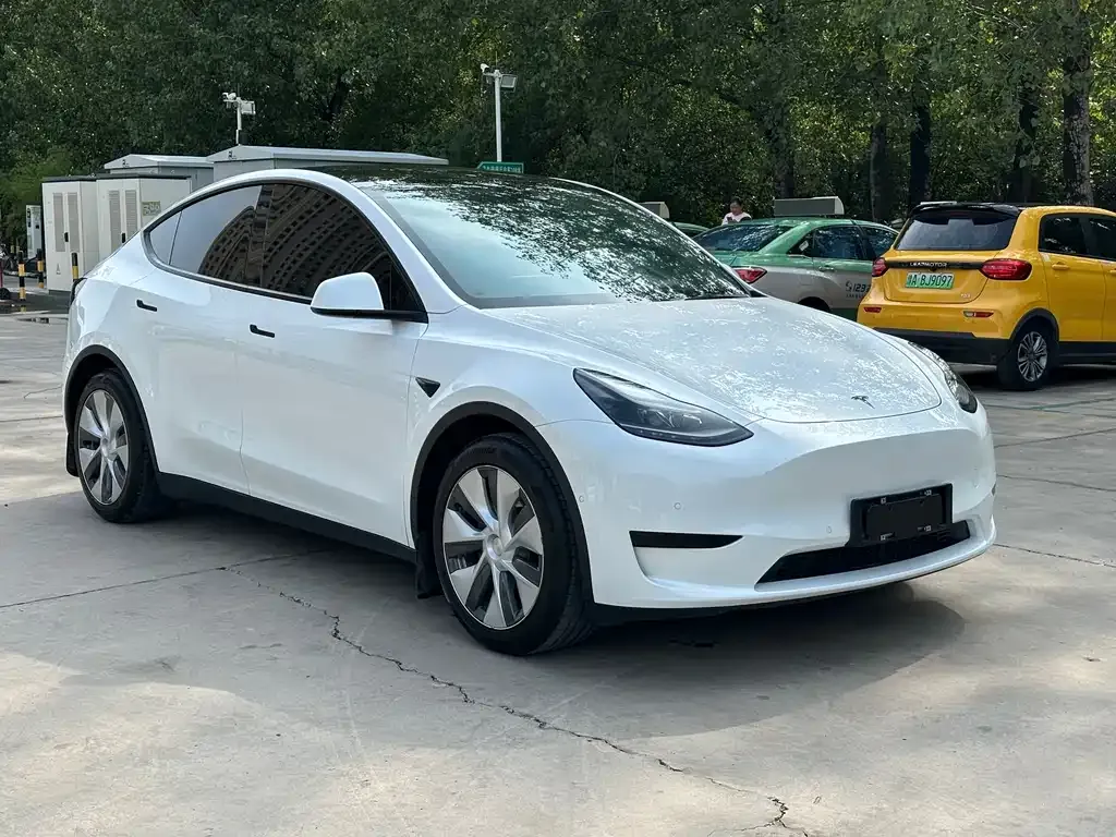 Tesla Model Y 2021 из CN, фото 6
