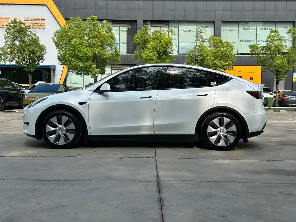 Tesla Model Y 2021 из CN, фото 8