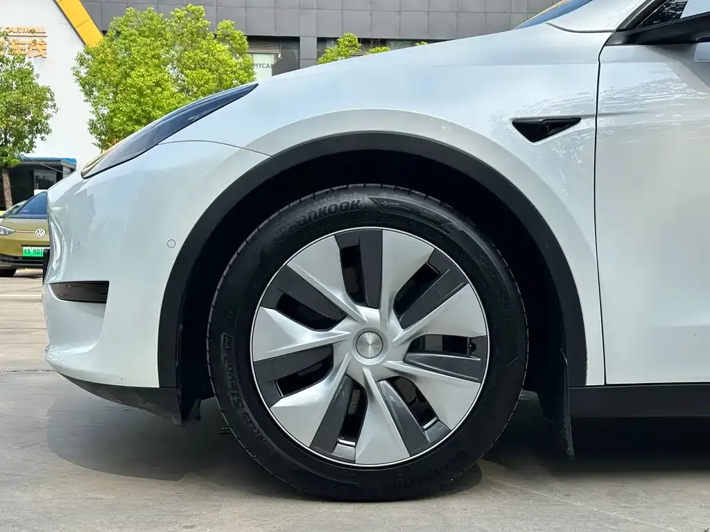 Tesla Model Y 2021 из CN, фото 2