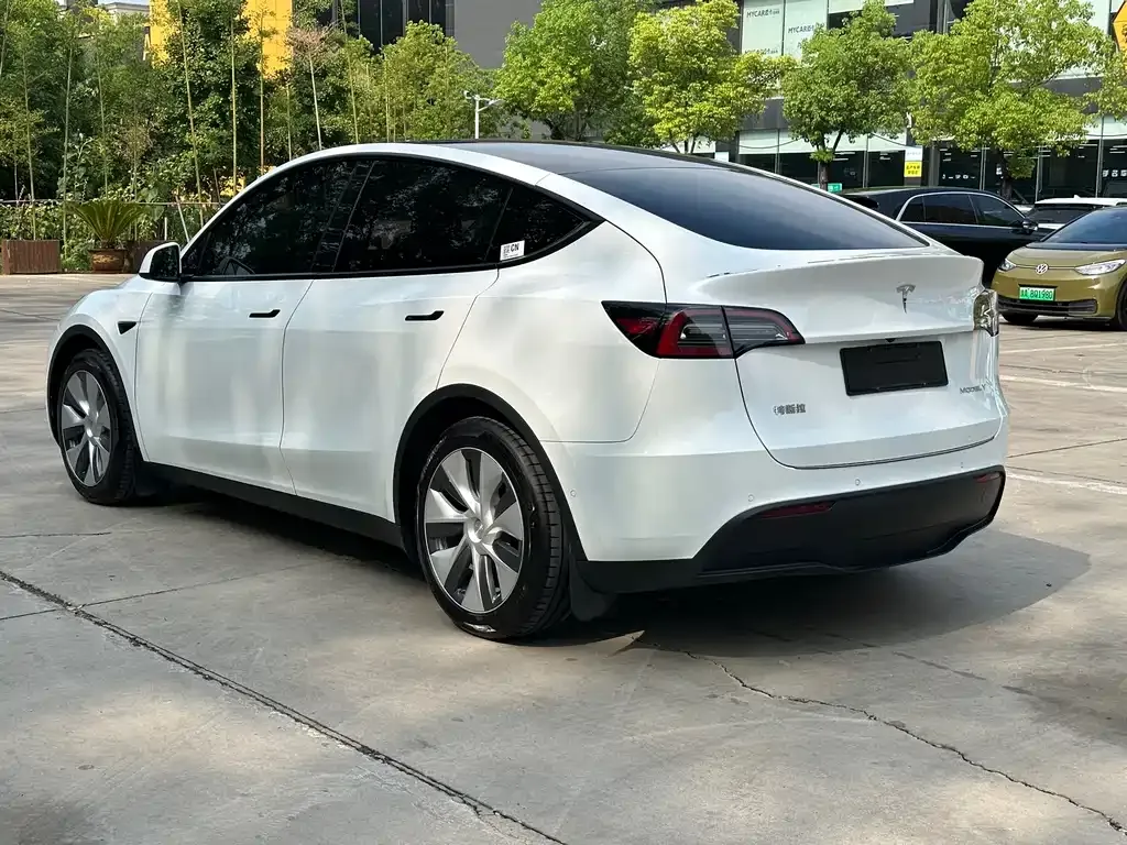 Tesla Model Y 2021 из CN, фото 9
