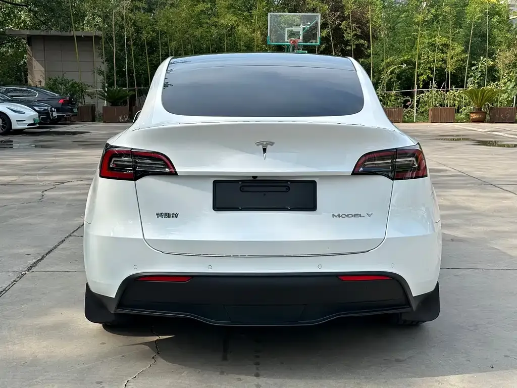 Tesla Model Y 2021 из CN, фото 4