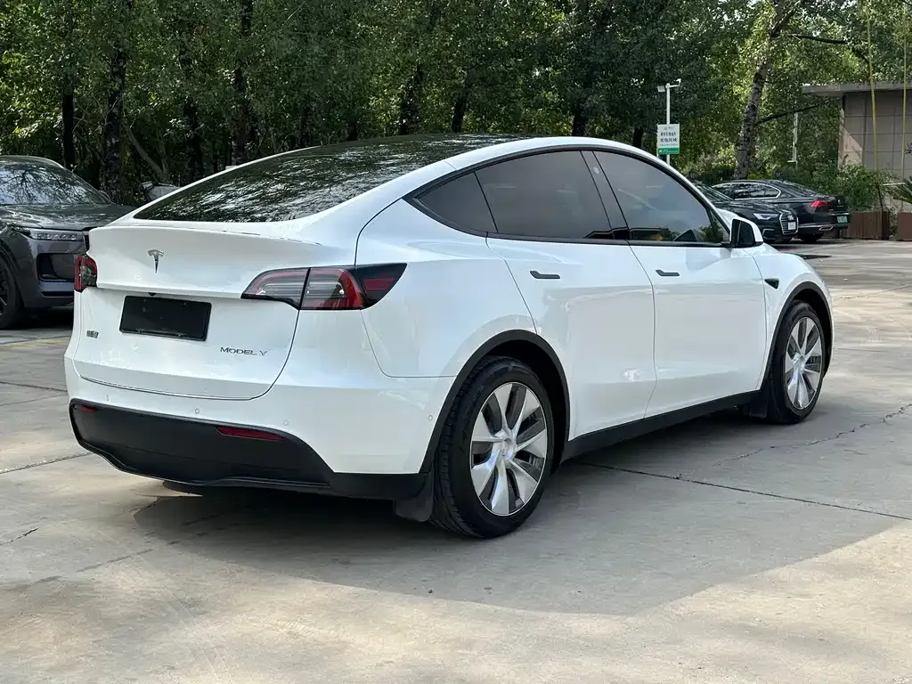 Tesla Model Y 2021 из CN, фото 10