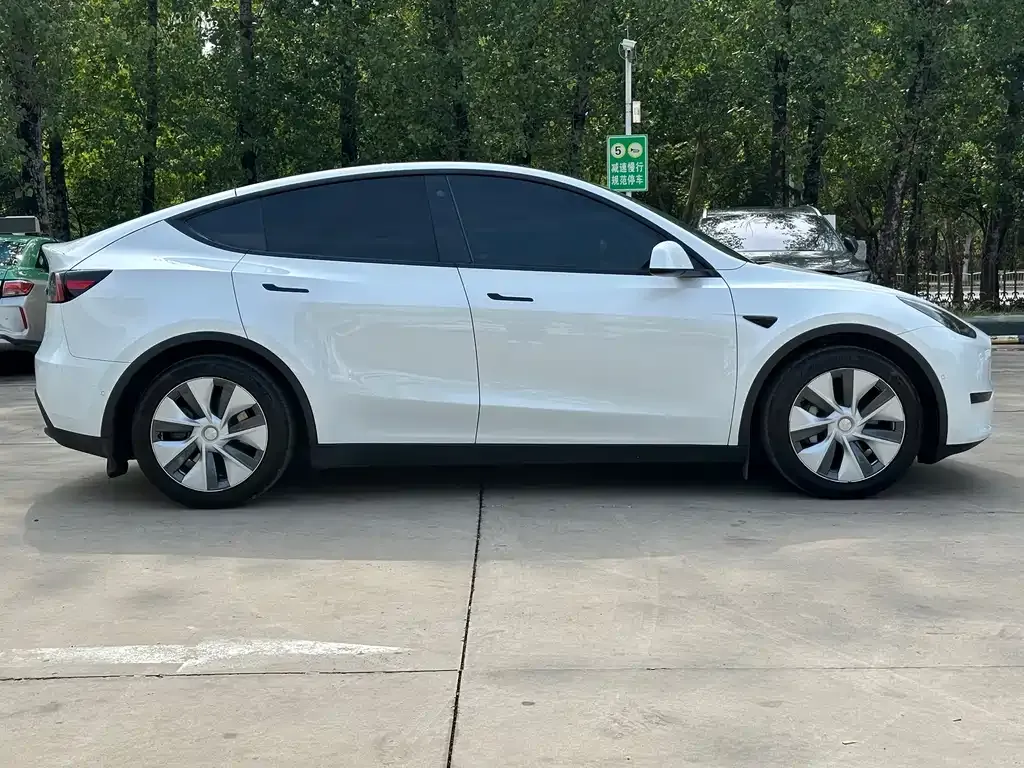 Tesla Model Y 2021 из CN, фото 7