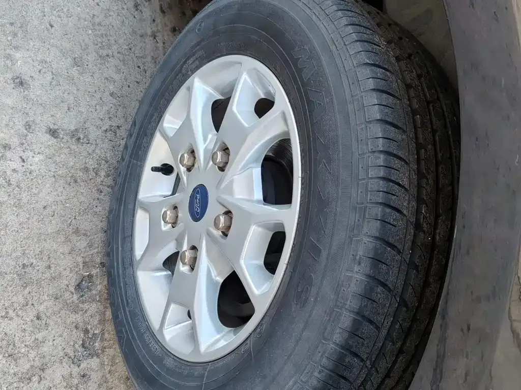 Ford Tourneo 2021 из CN, фото 9