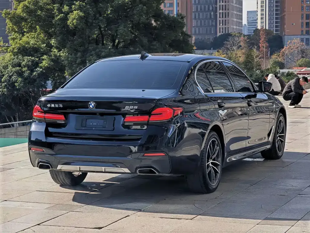BMW 5 Series 2024 из CN, фото 6
