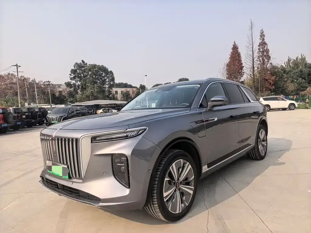 Hongqi E-HS9 2023 из CN, фото 1