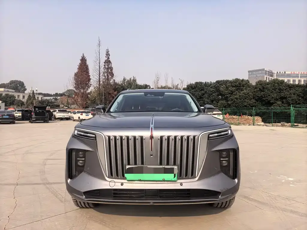Hongqi E-HS9 2023 из CN, фото 7