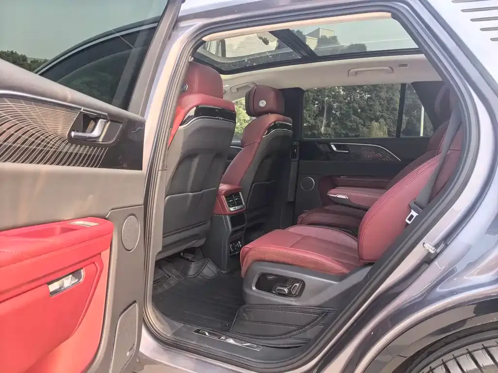 Hongqi E-HS9 2023 из CN, фото 8