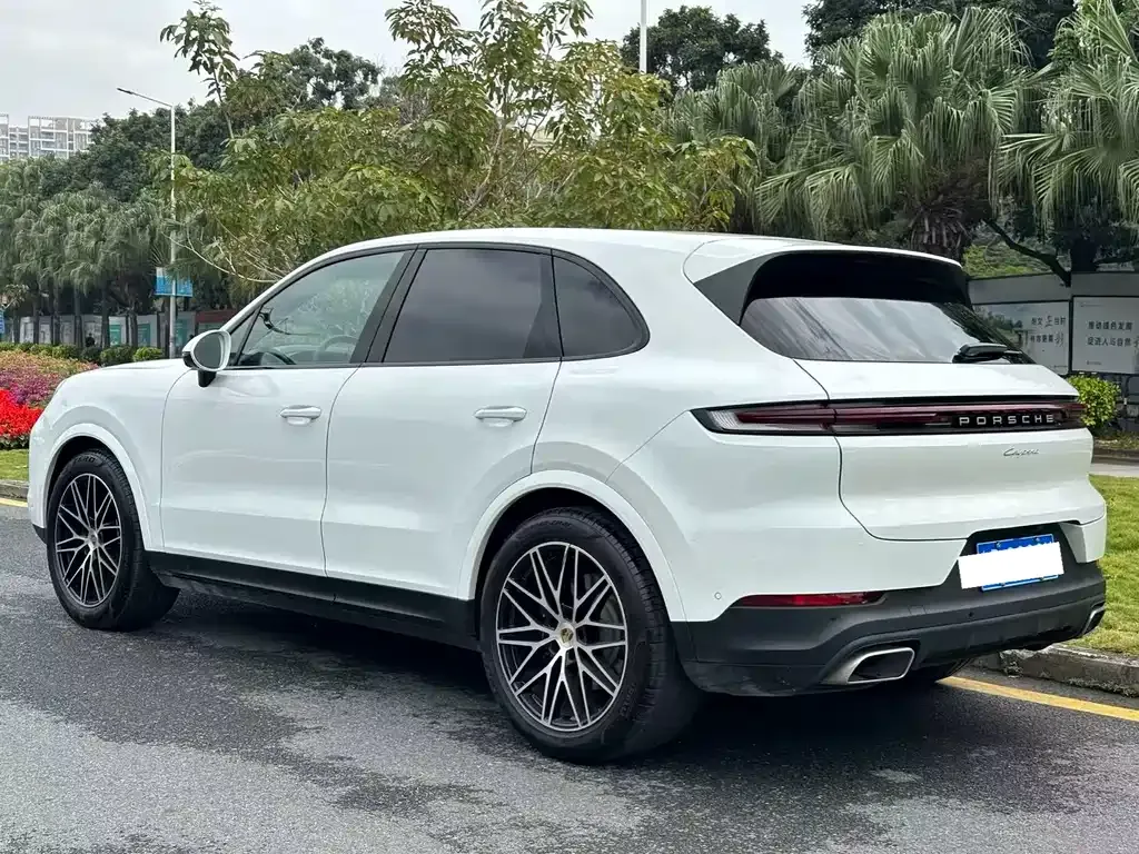 Porsche Cayenne — фото 10