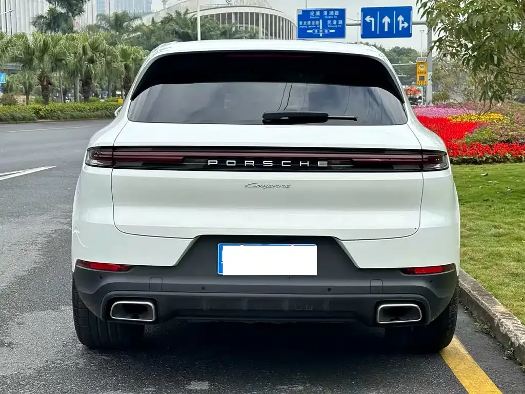 Porsche Cayenne — фото 3