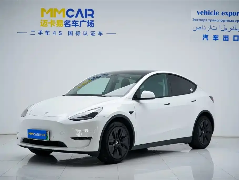 Tesla Model Y 2021 из CN, фото 2