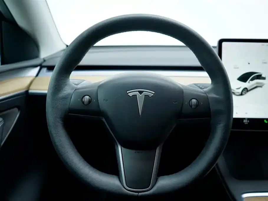 Tesla Model Y 2021 из CN, фото 7