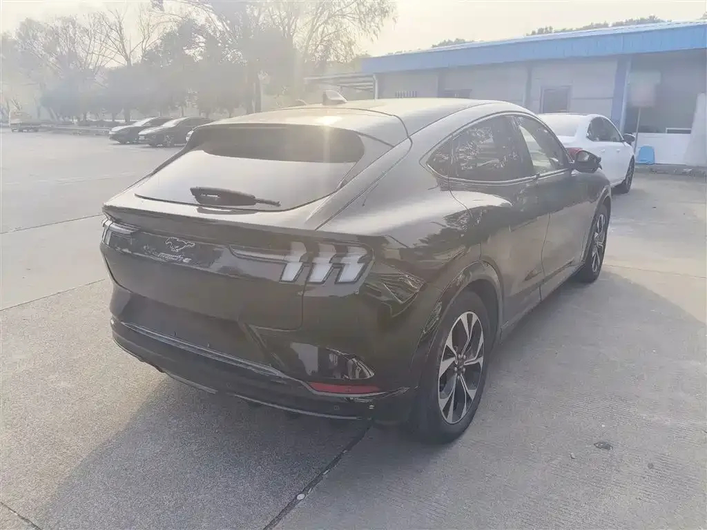 Ford Mustang Mach-E 2022 из CN, фото 4