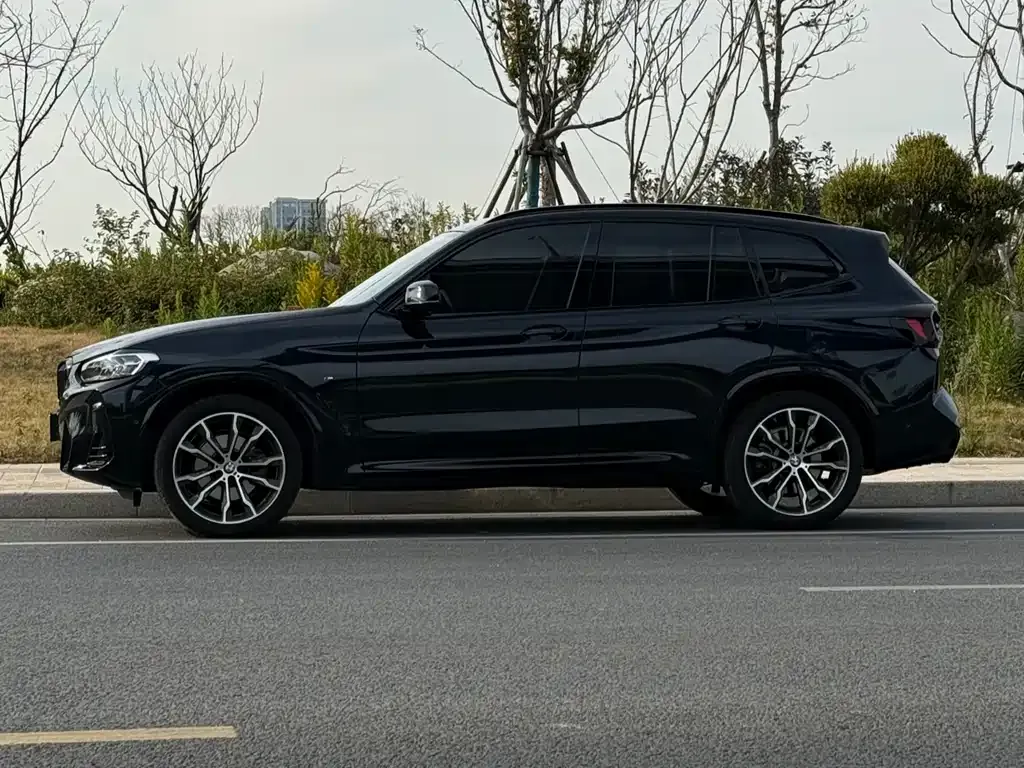 BMW X3 2025 из CN, фото 9
