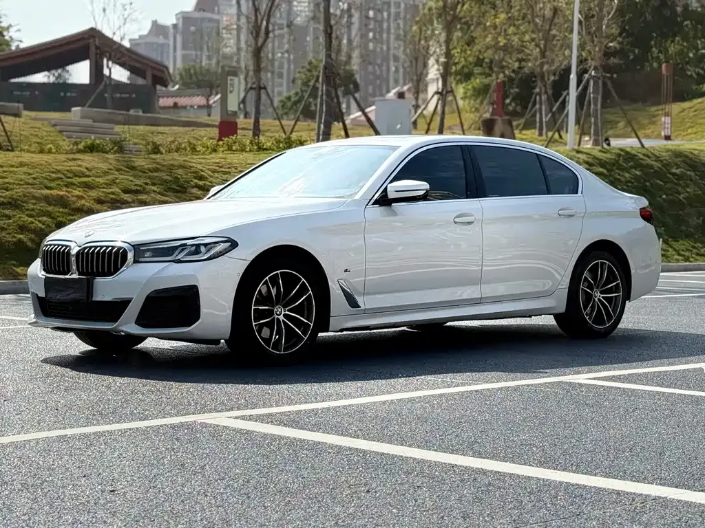 BMW 5 Series 2023 из CN, фото 1