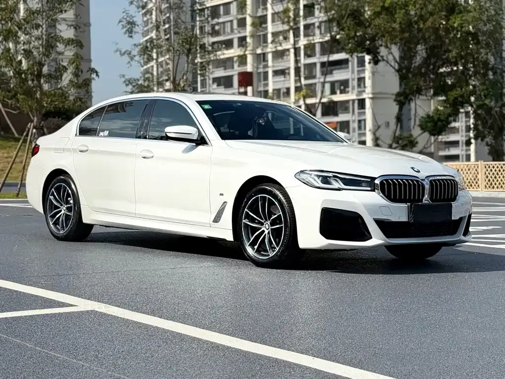 BMW 5 Series 2023 из CN, фото 8