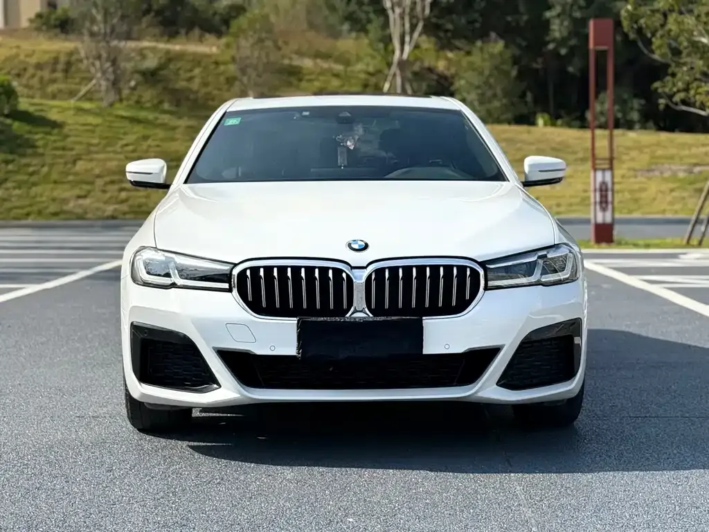 BMW 5 Series 2023 из CN, фото 10