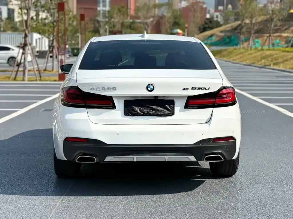 BMW 5 Series 2023 из CN, фото 4