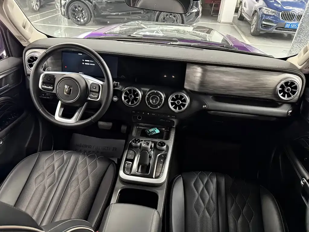 Tank 300 2024 из CN, фото 5