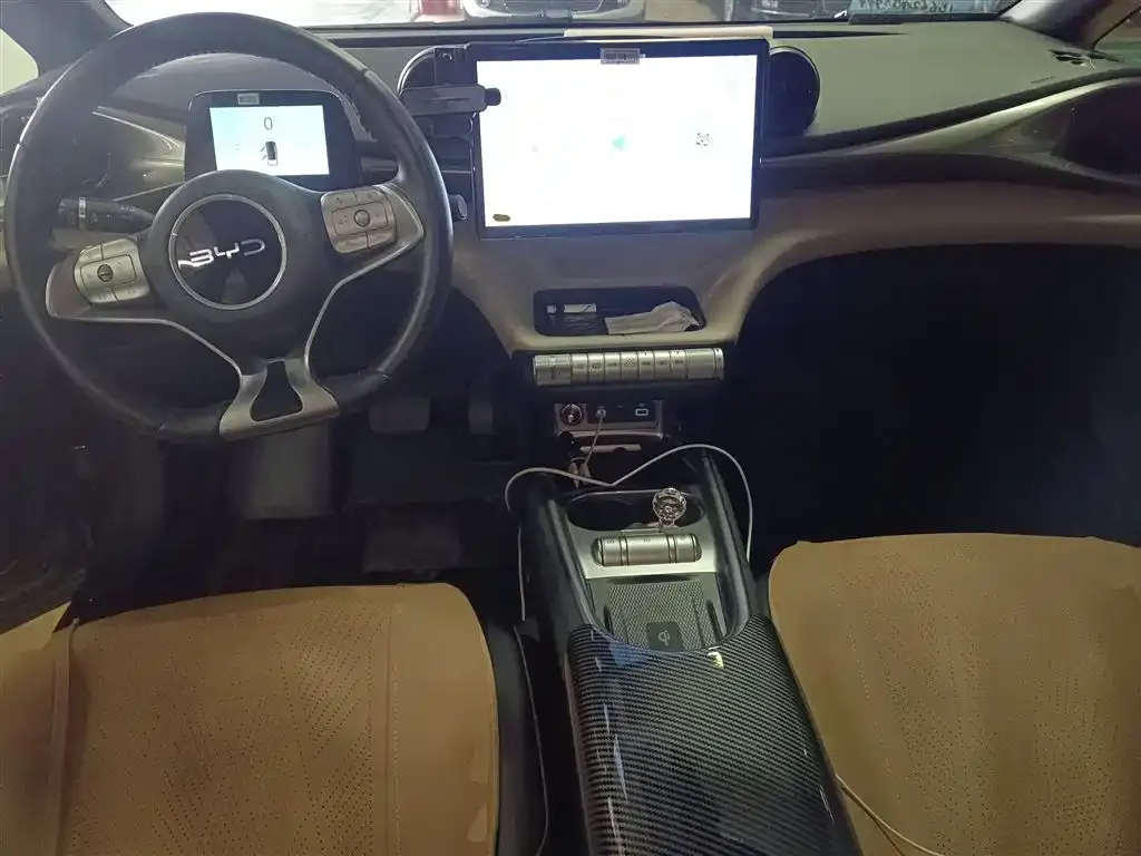 [object Object] Dolphin 2024 из CN, фото 10