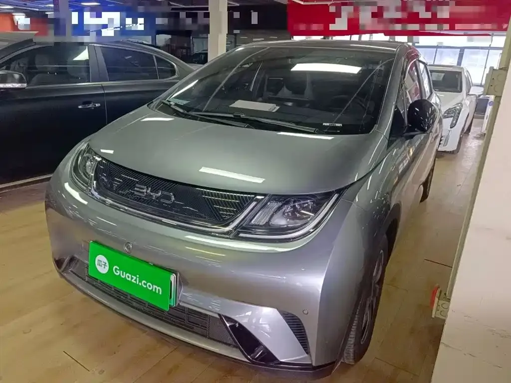 [object Object] Dolphin 2024 из CN, фото 2