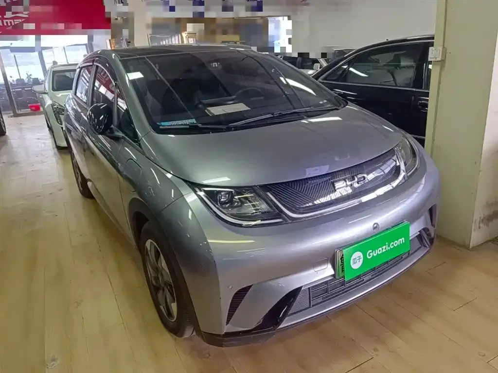 [object Object] Dolphin 2024 из CN, фото 4