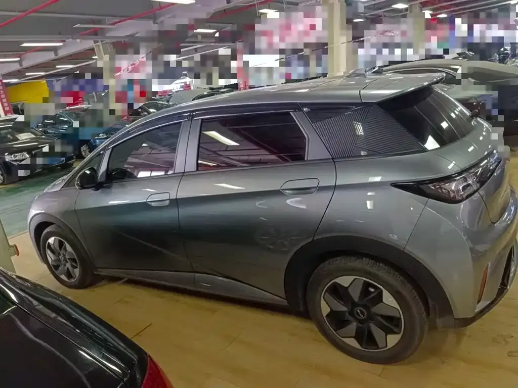 [object Object] Dolphin 2024 из CN, фото 5