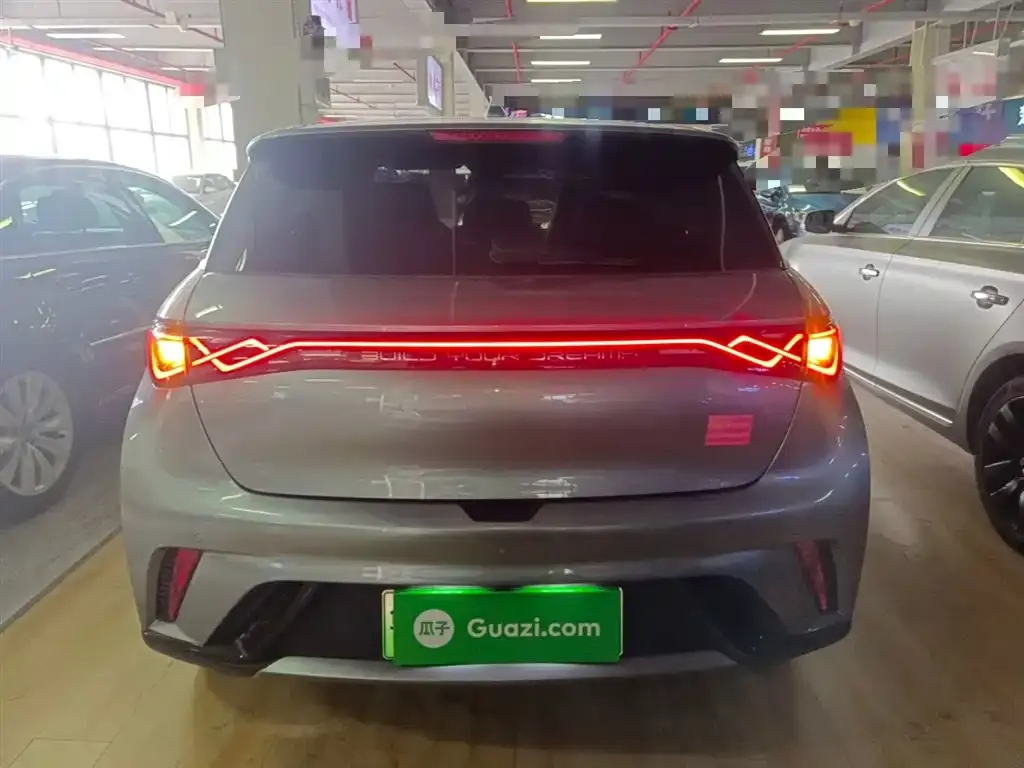 [object Object] Dolphin 2024 из CN, фото 6