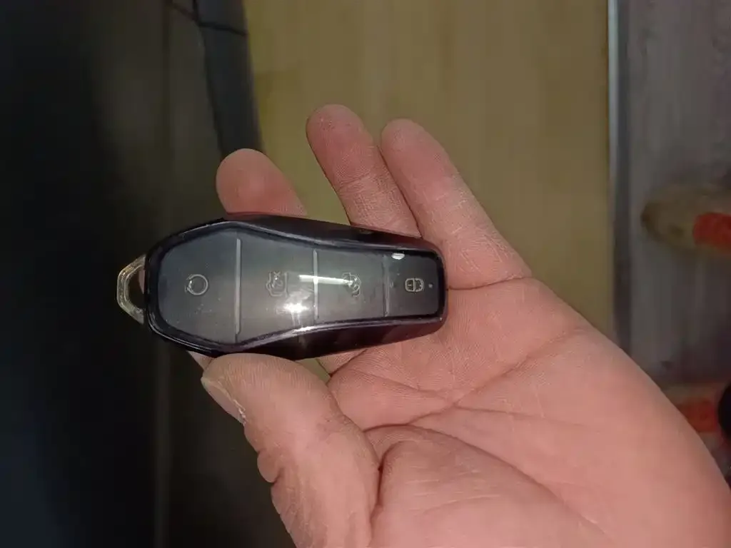 [object Object] Dolphin 2024 из CN, фото 9