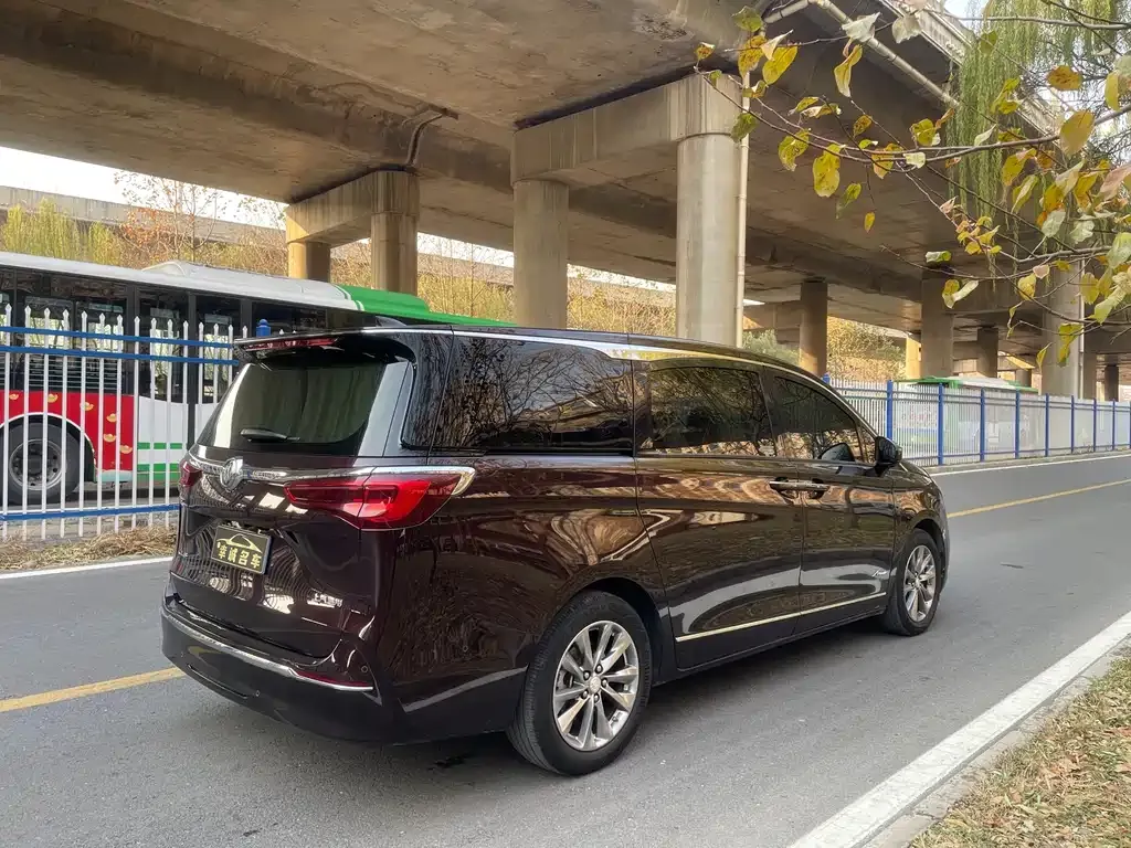 Buick GL8 2021 из CN, фото 4
