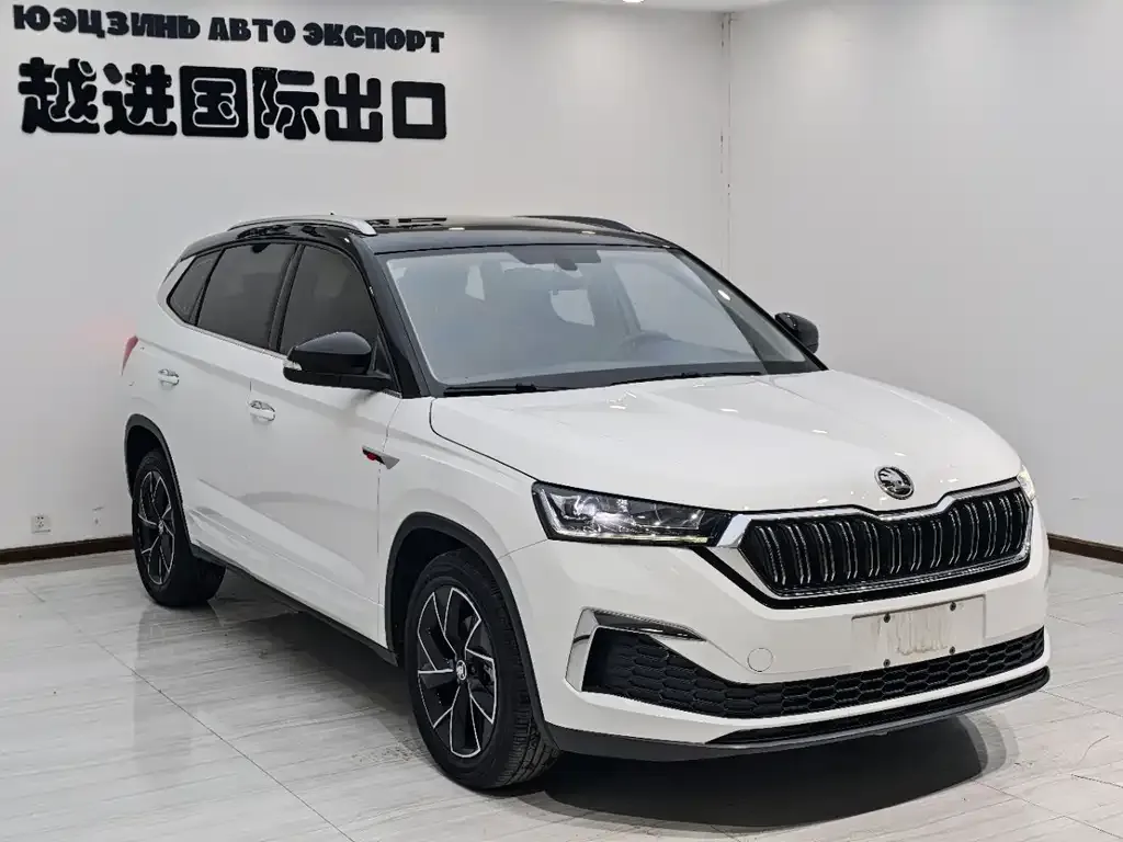 Skoda Kamiq 2023 из CN, фото 8