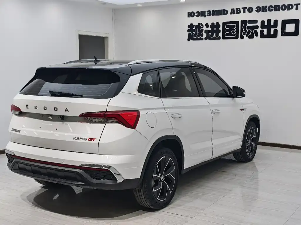 Skoda Kamiq 2023 из CN, фото 4