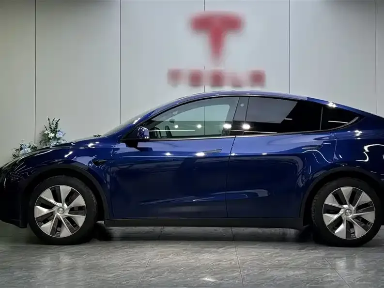 Tesla Model Y 2023 из CN, фото 2