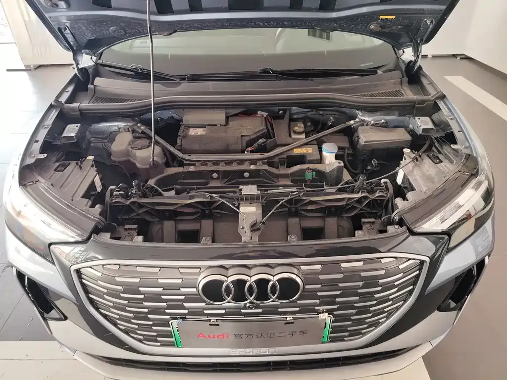 Audi Q4 e-tron 2024 из CN, фото 5