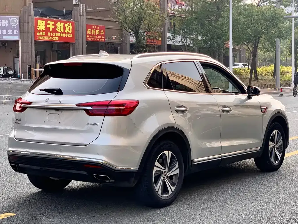 Hongqi HS5 2021 из CN, фото 7