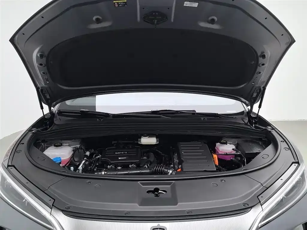 BYD L DM-i — фото 7