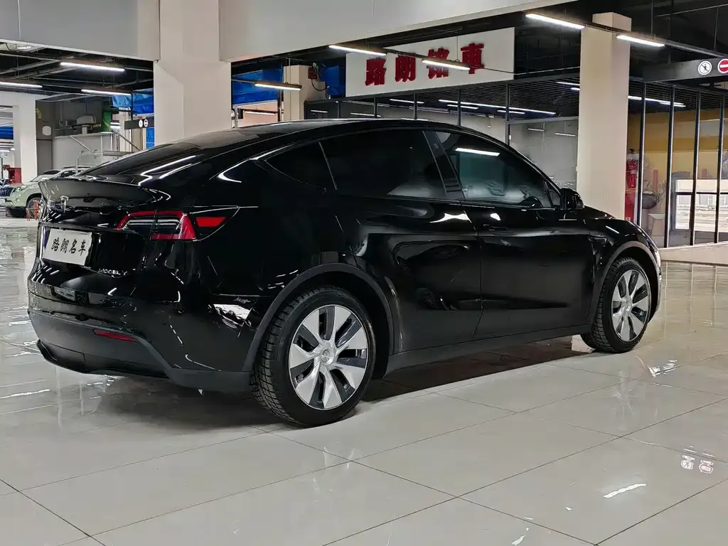 Tesla Model Y — фото 10