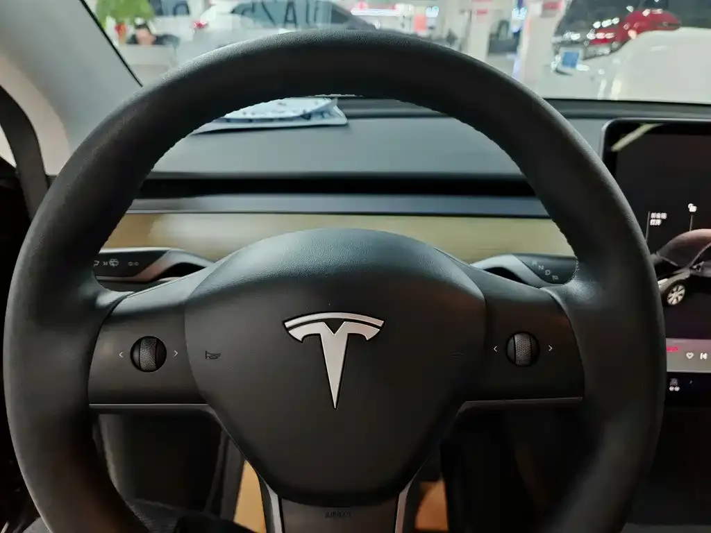 Tesla Model Y — фото 5