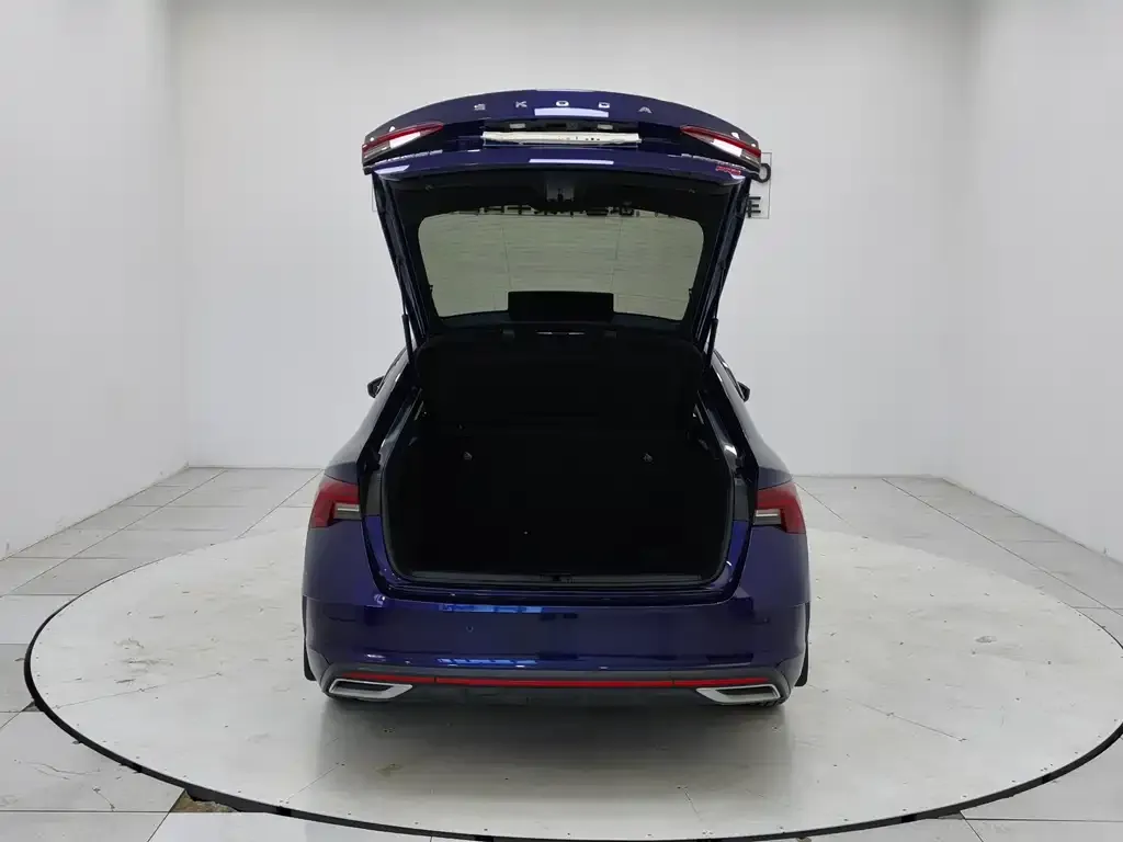Skoda Octavia 2021 из CN, фото 3