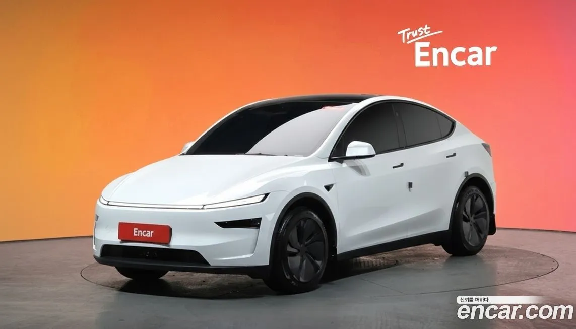 Tesla Model Y 2025 из KR, фото 1