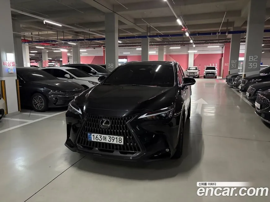 Lexus NX 2025 из KR, фото 1