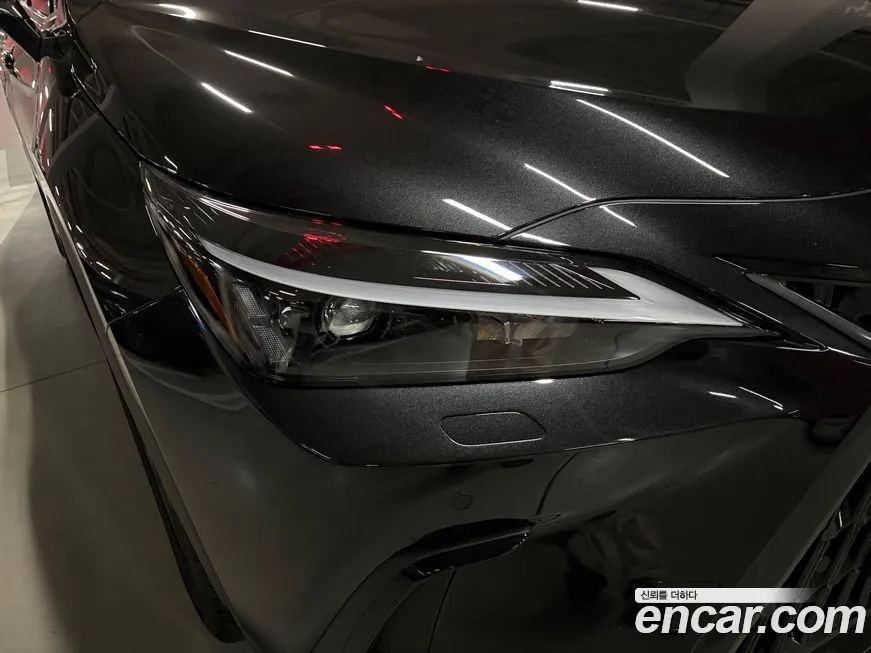 Lexus NX 2025 из KR, фото 10