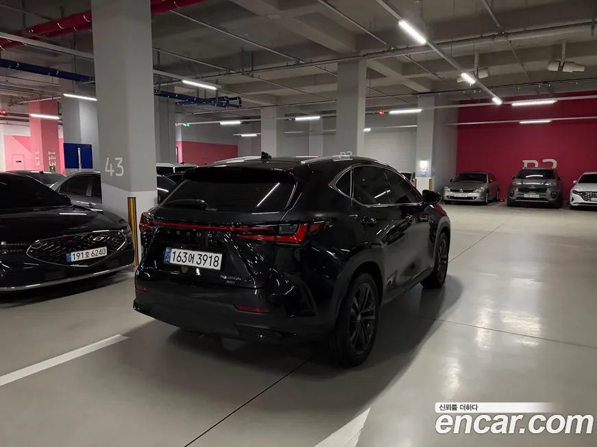 Lexus NX 2025 из KR, фото 2