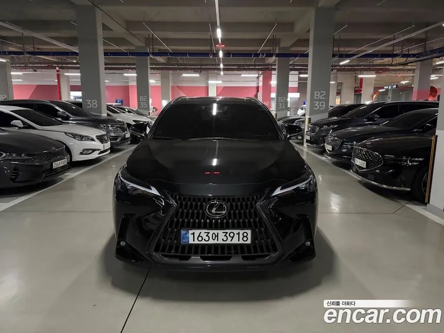 Lexus NX 2025 из KR, фото 3