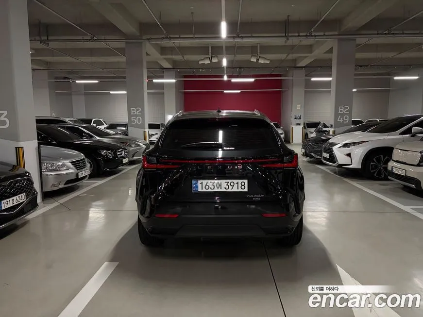 Lexus NX 2025 из KR, фото 4
