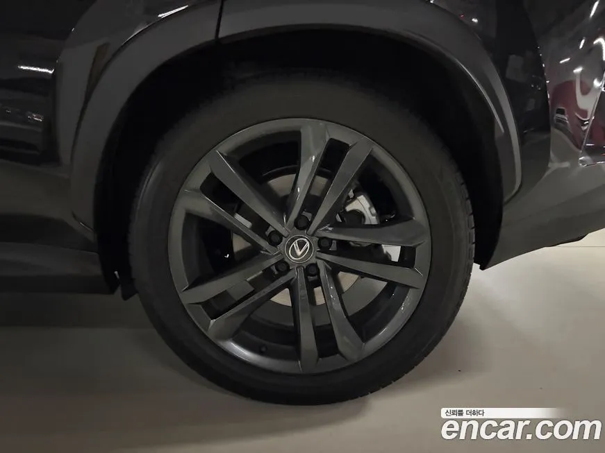 Lexus NX 2025 из KR, фото 5