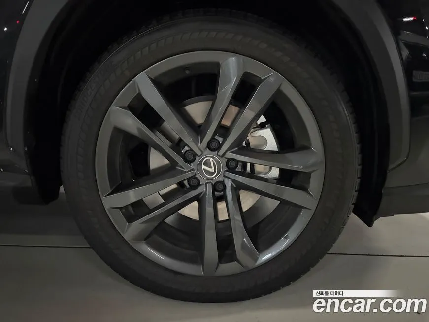 Lexus NX 2025 из KR, фото 6