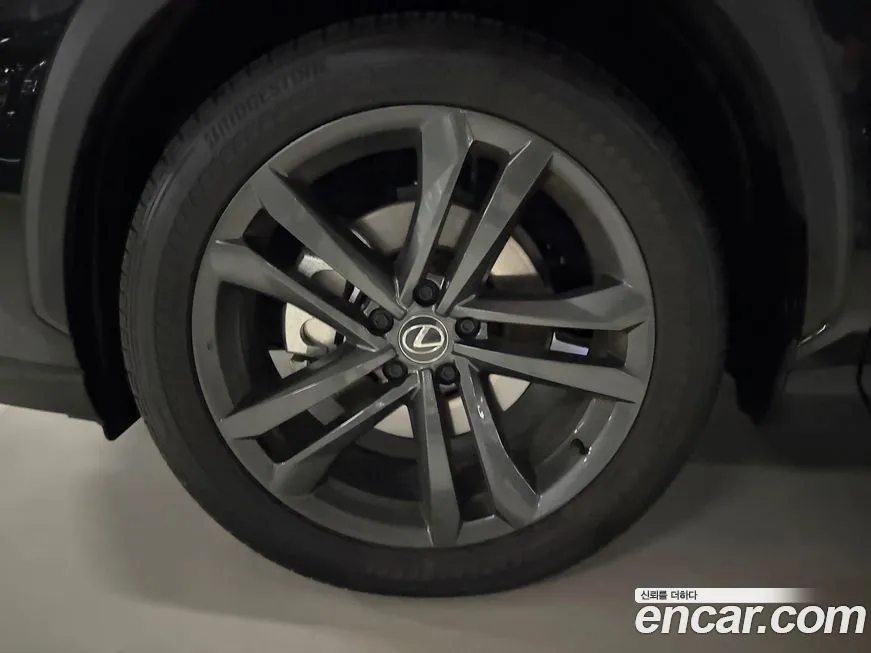 Lexus NX 2025 из KR, фото 8