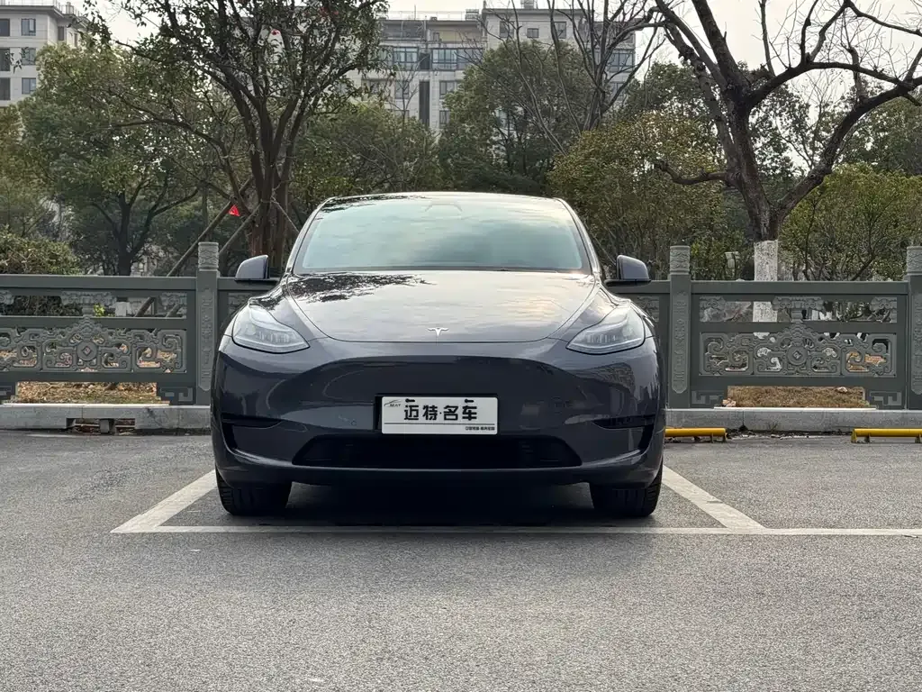 Tesla Model Y — фото 9