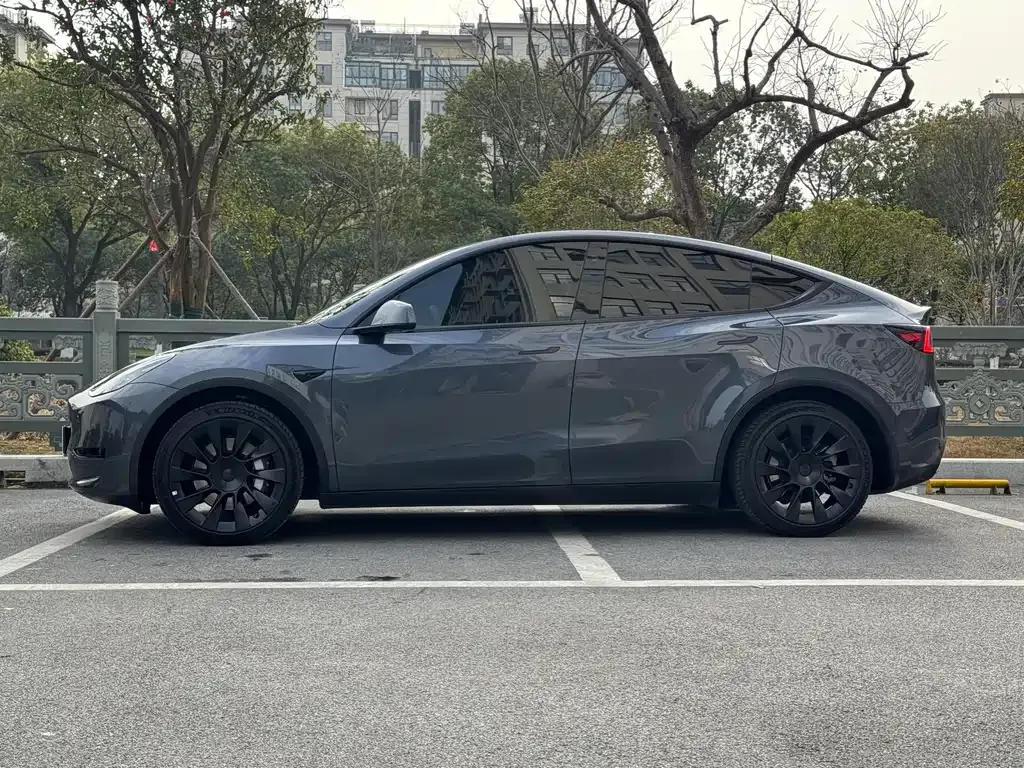 Tesla Model Y — фото 10